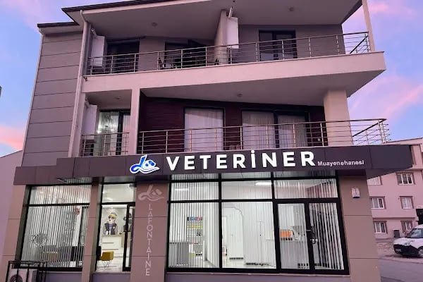 La Fontaine Veteriner Kliniği-Nilüfer Veteriner-Acil Veteriner-7/24 Veteriner-Kedi Kısırlaştırma-Köpek Kısırlaştırma-Aşılama - Resim 3