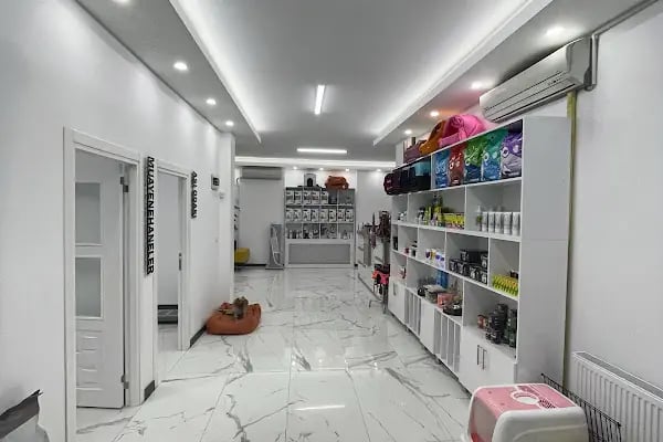 La Fontaine Veteriner Kliniği-Nilüfer Veteriner-Acil Veteriner-7/24 Veteriner-Kedi Kısırlaştırma-Köpek Kısırlaştırma-Aşılama - Resim 6