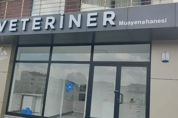 La Fontaine Veteriner Kliniği-Nilüfer Veteriner-Acil Veteriner-7/24 Veteriner-Kedi Kısırlaştırma-Köpek Kısırlaştırma-Aşılama - Resim 4