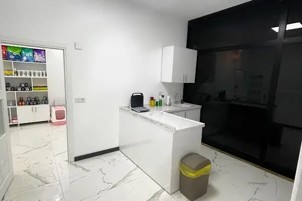 La Fontaine Veteriner Kliniği-Nilüfer Veteriner-Acil Veteriner-7/24 Veteriner-Kedi Kısırlaştırma-Köpek Kısırlaştırma-Aşılama - Resim 15