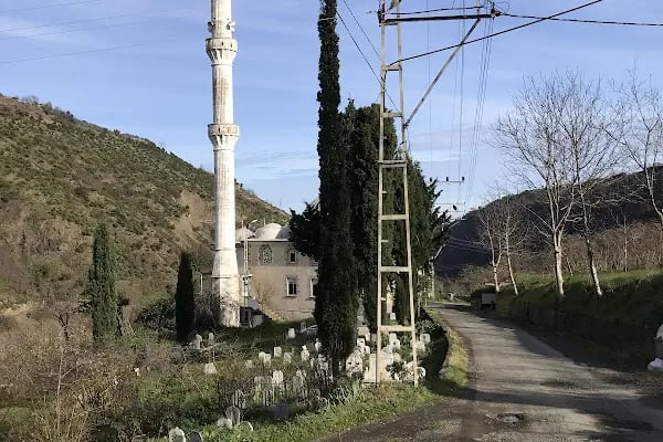 Kanuni Cami - Resim 6
