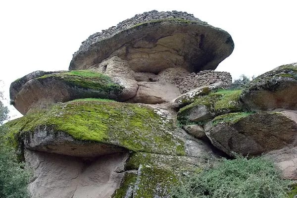 Doğal Milli Park Alanı - Resim 14
