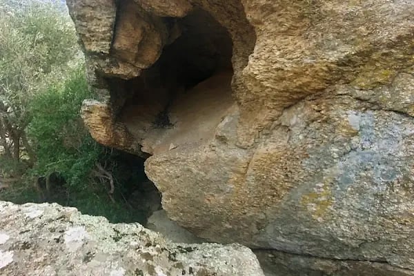 Doğal Milli Park Alanı - Resim 17