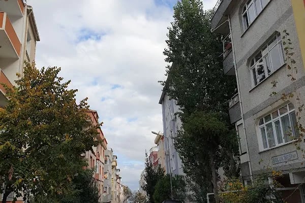 Ptt Avcılar - Resim 4