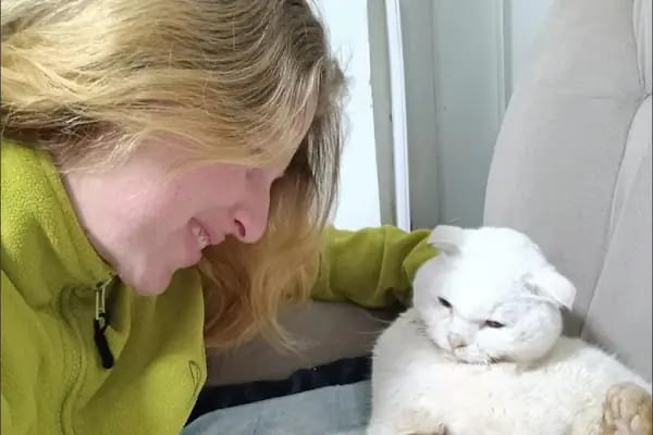 Hopyap Veteriner Kliniği - Resim 7