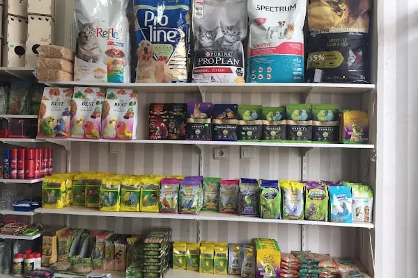 Penguen Petshop güneşli - Resim 13