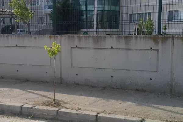 Özel Gülerçin Koleji - Resim 12