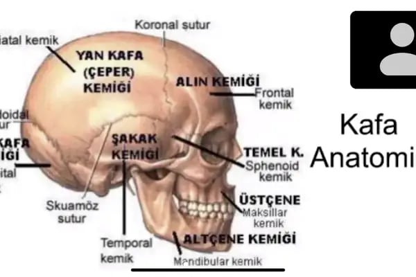 GÖLGE ELLER ERKEK KUAFÖRÜ ŞEHİT AİLELERİNE ÜCRETSİZDİR ESENLER İSTANBUL - Resim 11