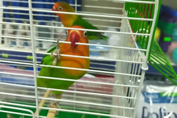 Emre Üretim Petshop - Resim 18