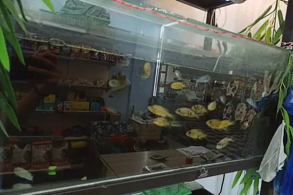 Emre Üretim Petshop - Resim 12