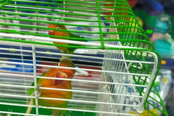 Emre Üretim Petshop - Resim 15