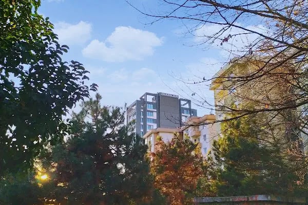 Kaybedenler Kulübü Parkı - Resim 16