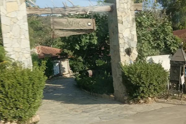 Defne Restaurant - Resim 8