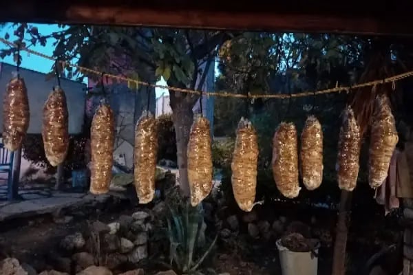 Defne Restaurant - Resim 15