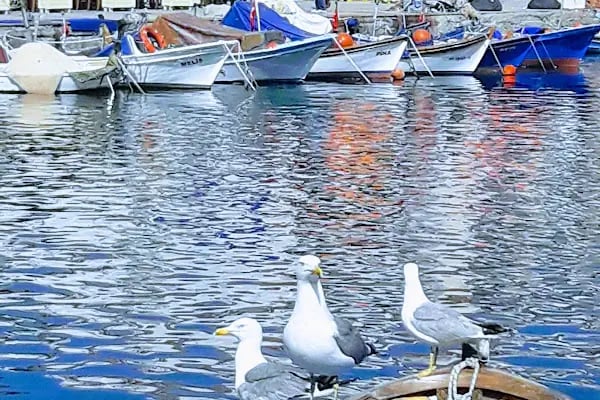 ANI FOTOĞRAF - Resim 2