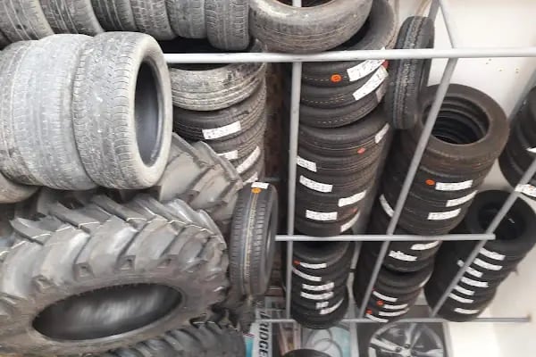 DALAMAN LASSA EGE TİCARET - Resim 5