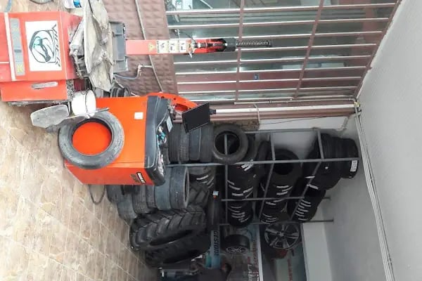 DALAMAN LASSA EGE TİCARET - Resim 10