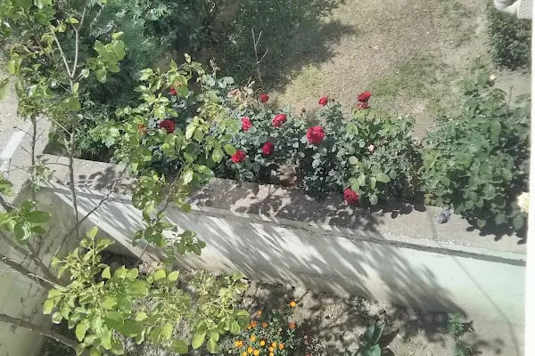 Gürsu Şehit İsmail Özbek Çocuk Parkı - Resim 7