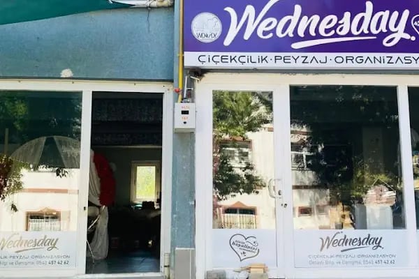 Wednesday Organizasyon Beypazarı - Resim 1