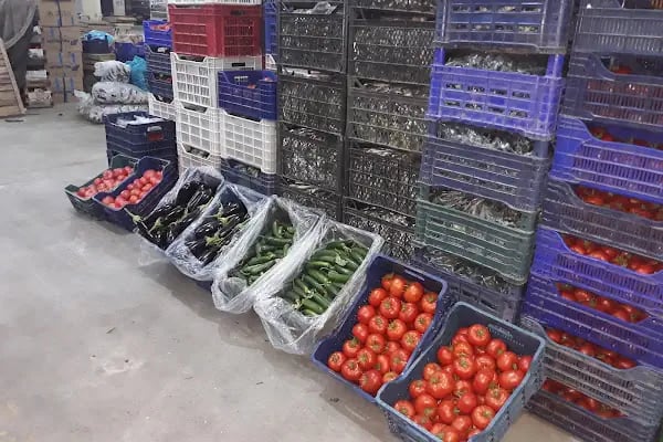 TURHAN YAŞ SEBZE-MEYVE DEPOSU - Resim 14
