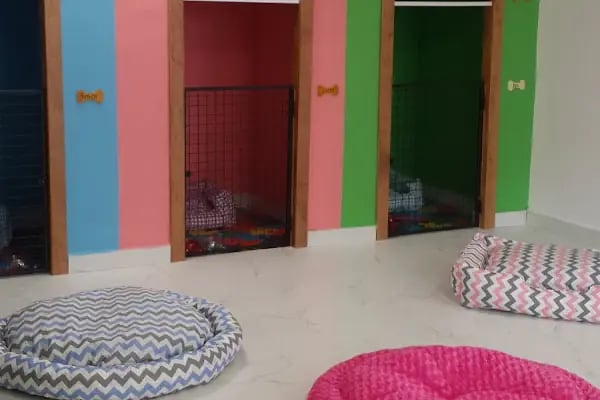 Sos Pet Shop - Otel - Resim 16