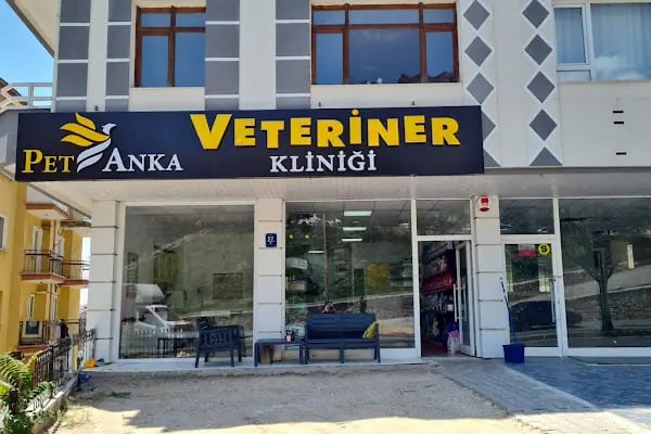 Pet Anka Veteriner Kliniği - Resim 17