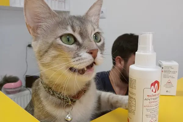 Pet Anka Veteriner Kliniği - Resim 7