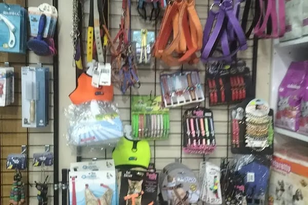 DERİN PETSHOP - Resim 2