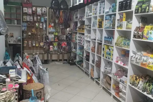 DERİN PETSHOP - Resim 5