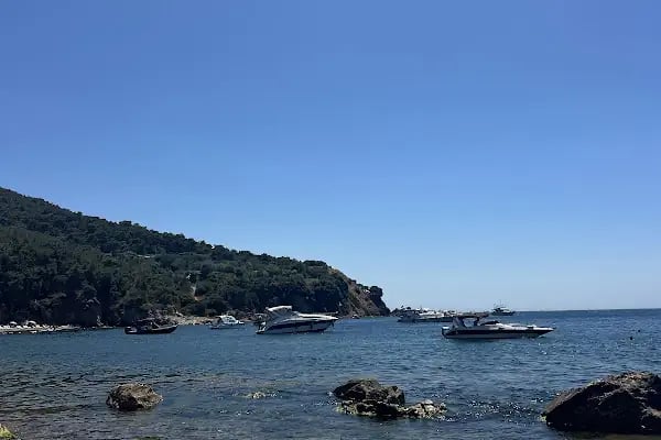 Cennet Bahçesi - Resim 7