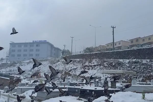 17 Ağustos Mezarlığı - Resim 6