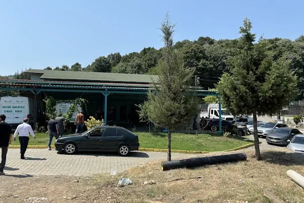 17 Ağustos Mezarlığı - Resim 19