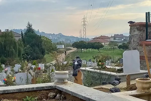 17 Ağustos Mezarlığı - Resim 11