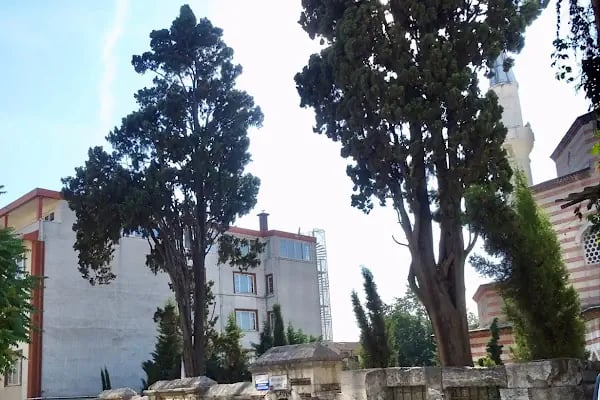 Şeyh Vefa Türbesi - Resim 11