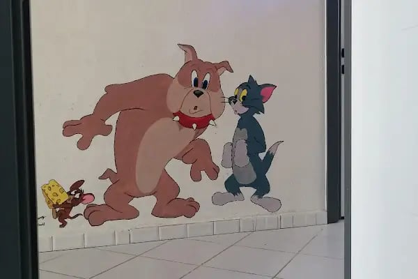 Vetmingo Veteriner Kliniği - Resim 9