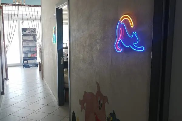Vetmingo Veteriner Kliniği - Resim 15