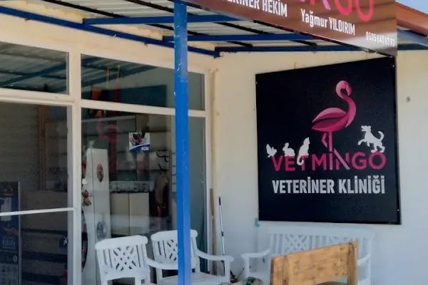 Vetmingo Veteriner Kliniği - Resim 1