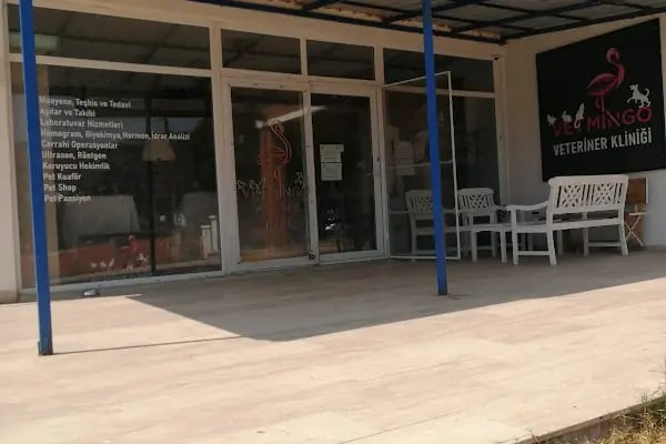Vetmingo Veteriner Kliniği - Resim 17