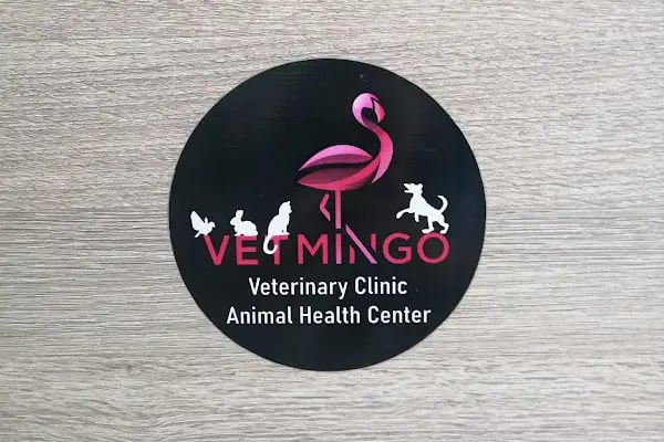 Vetmingo Veteriner Kliniği - Resim 5