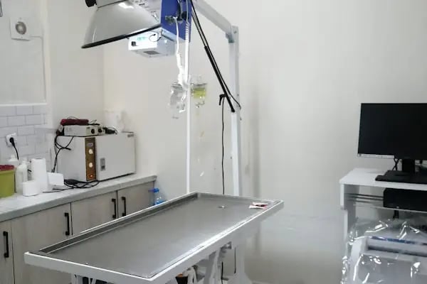 Vetmingo Veteriner Kliniği - Resim 3