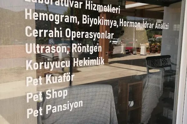 Vetmingo Veteriner Kliniği - Resim 19
