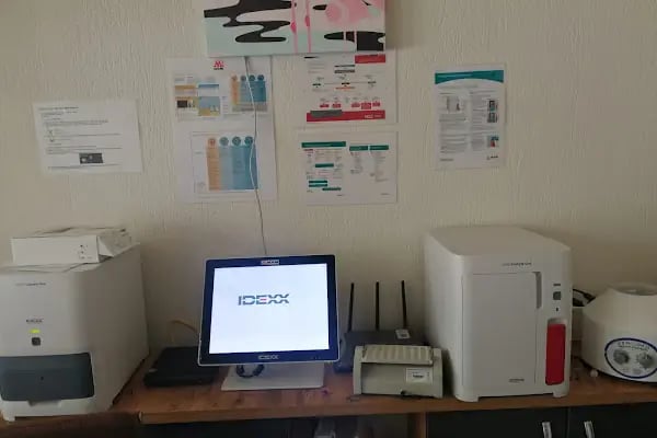Vetmingo Veteriner Kliniği - Resim 12