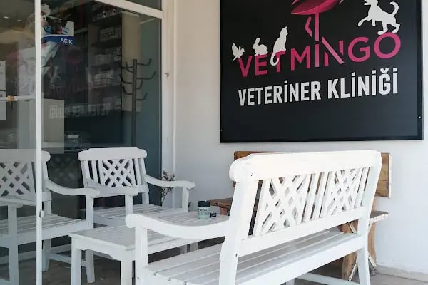 Vetmingo Veteriner Kliniği - Resim 16