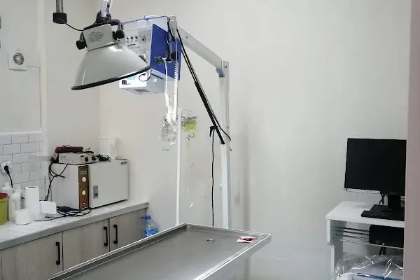 Vetmingo Veteriner Kliniği - Resim 20