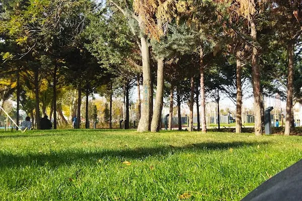 T. C. Ankara Büyükşehir Belediyesi - Resim 13