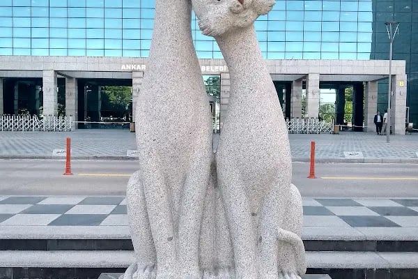 T. C. Ankara Büyükşehir Belediyesi - Resim 3
