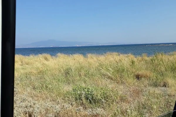 Çocuk Bahçesi - Resim 11