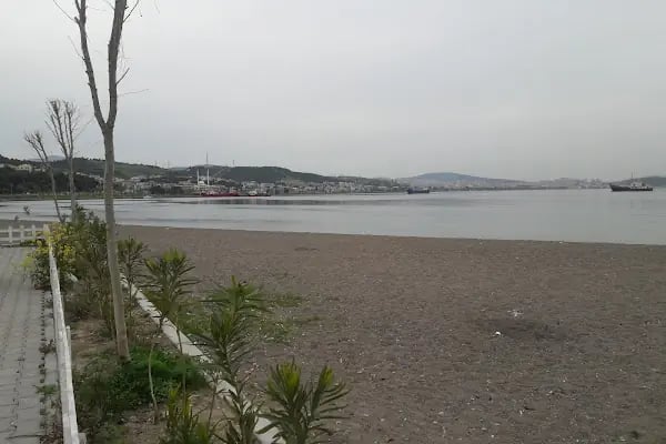 Çocuk Bahçesi - Resim 1
