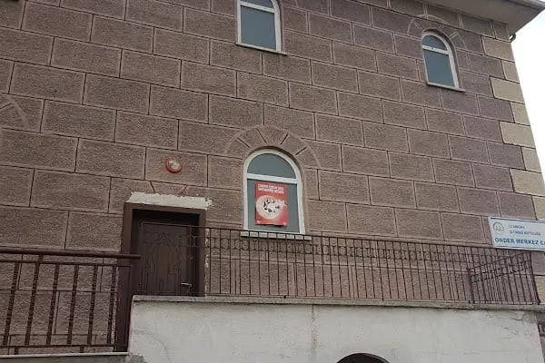 Önder Merkez Cami - Resim 2