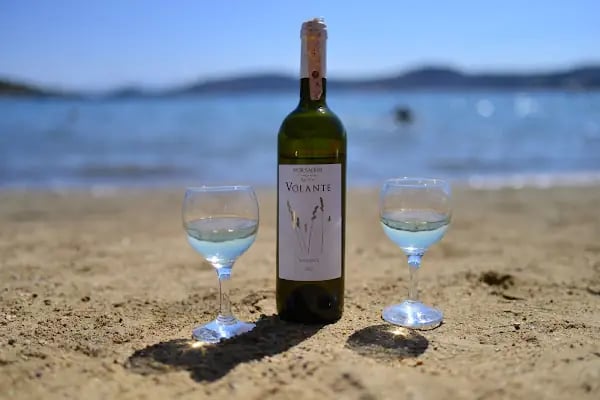 Mor Salkım Bağları - Mor Salkım Vineyards - Resim 4